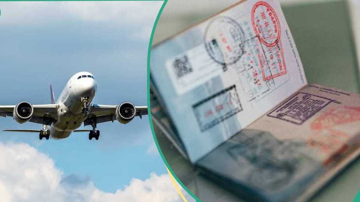 Find out more as New Zealand announces new work visa options