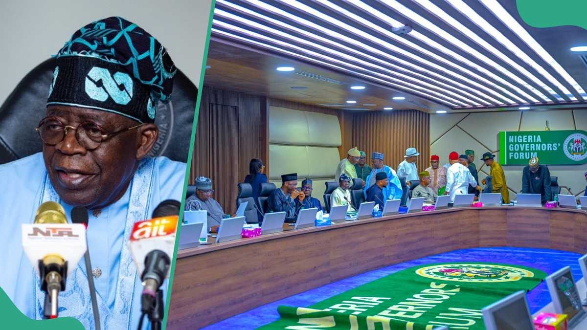 Breaking: Tinubu warns governors against building flyovers