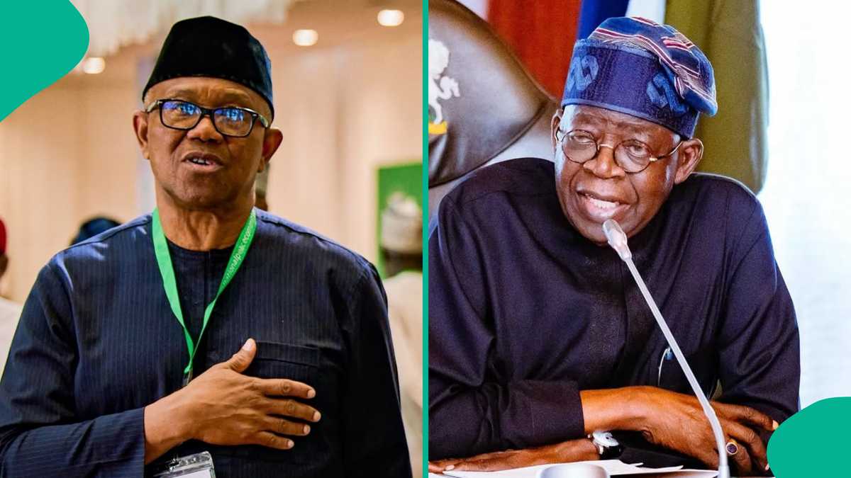 Nigeria 2027: Polymarket users stake money on who will win presidential election