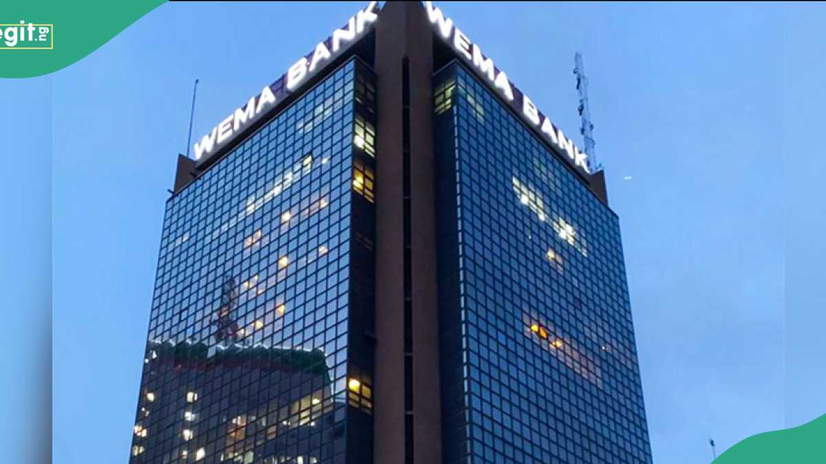 EIB and Wema Bank Unveil €50 Million Fund for Nigerian Entrepreneurs