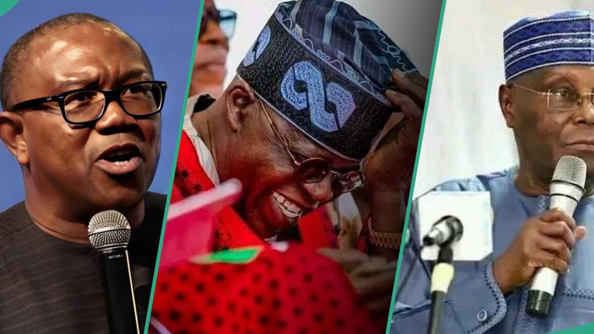 2027 presidency: Tinubu in trouble as 2 powerful ex-presidential candidates mull new political party