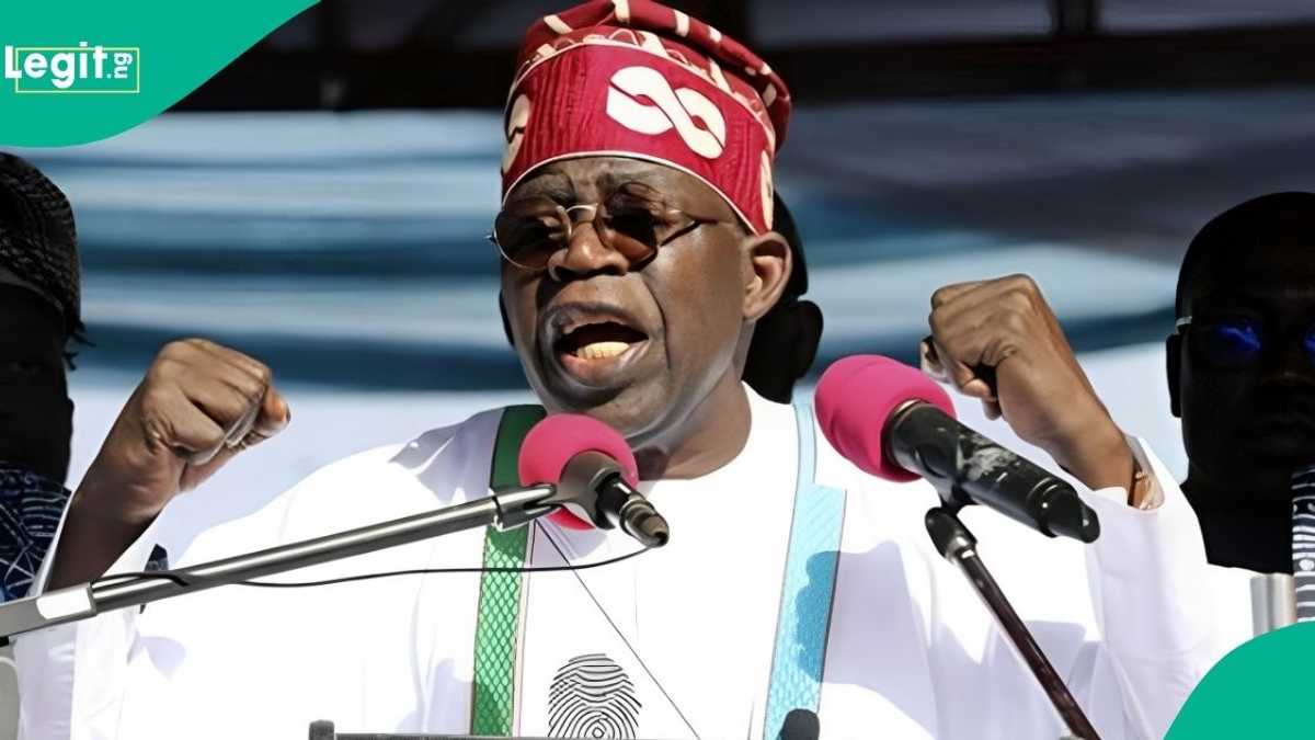 Lagos 2027: Tinubu Has Not Endorsed Any Candidate, Sources Say - Legit.ng