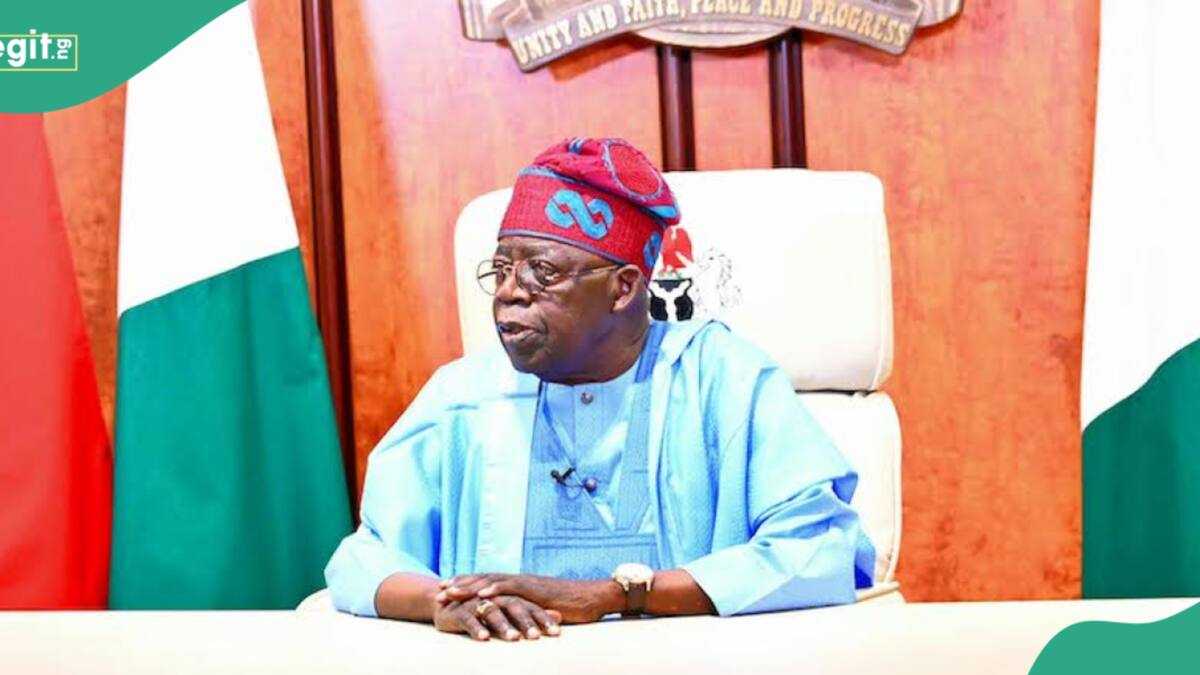 Hunger protest: Tinubu reveals fresh plan for protesters