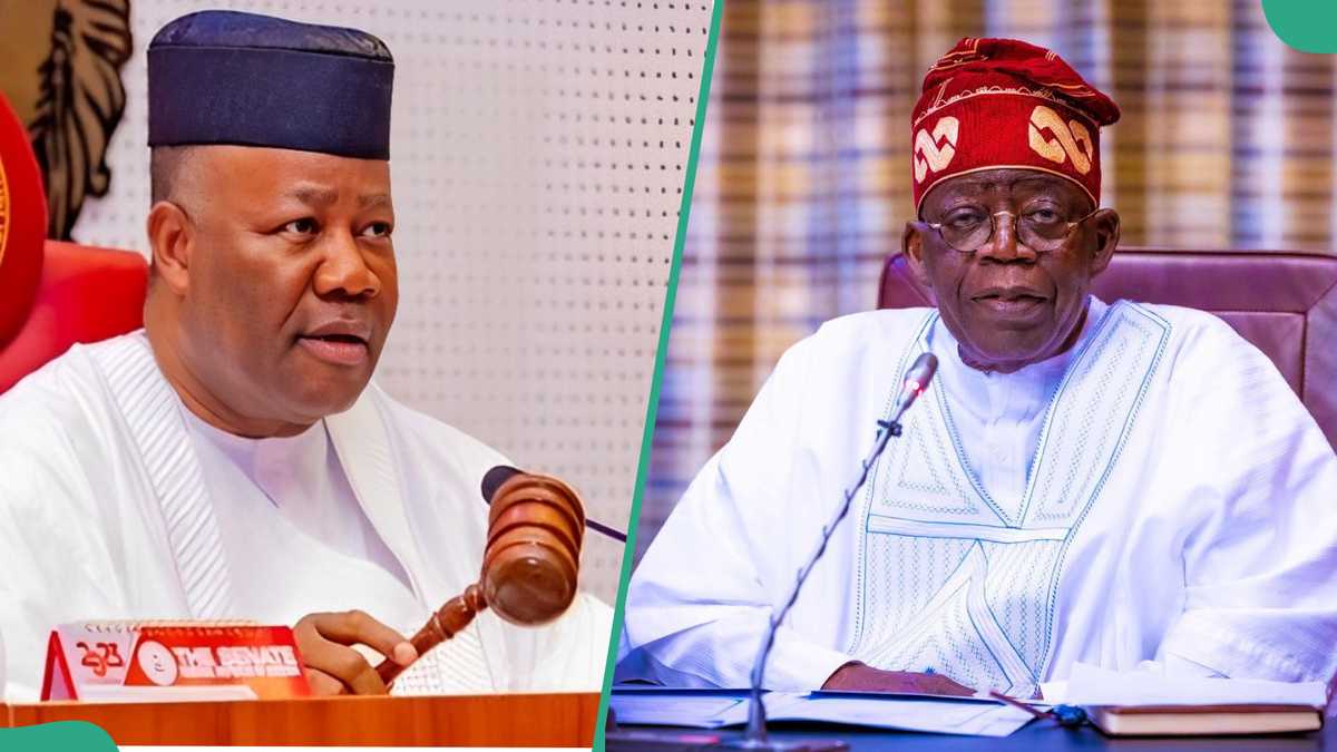 Just in: Senate to screen Tinubu’s nominees for CCB governing board