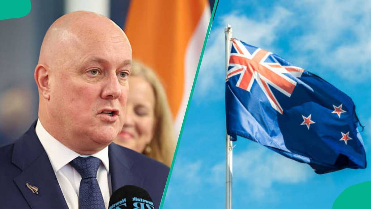 New Zealand offers special work visa for partners of military personnel