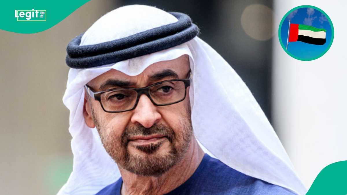 UAE offers 10-year residence visa to foreigners with environmental achievements, names those eligible
