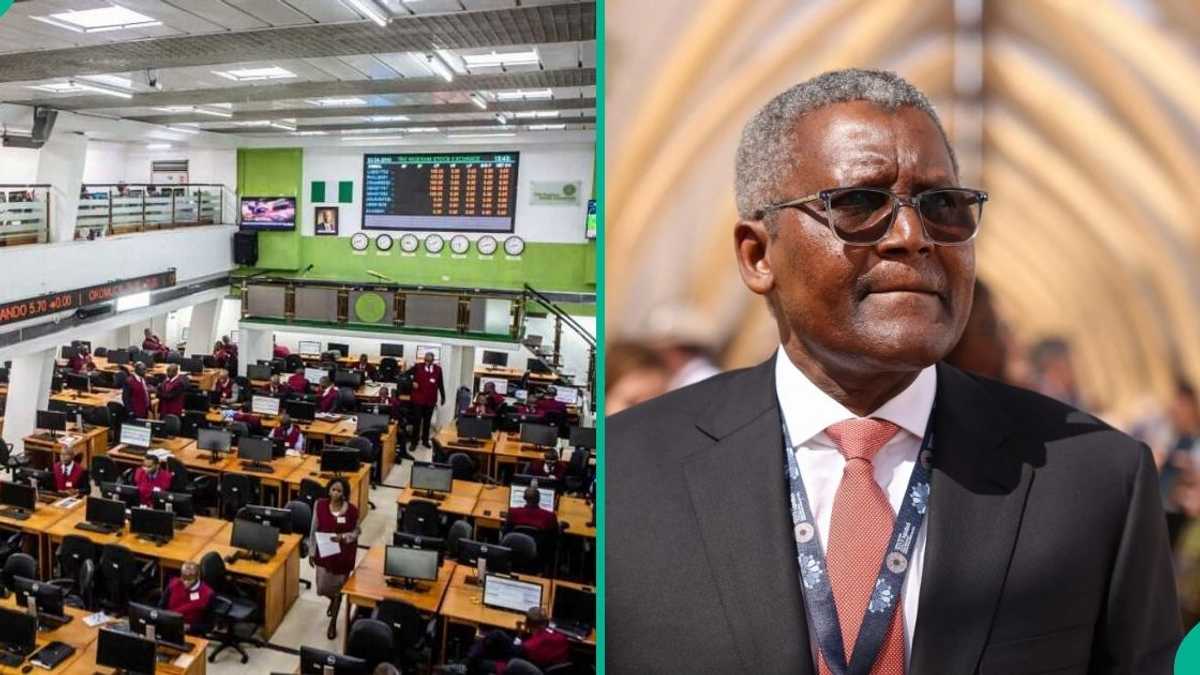 Find put more as investor rush for Dangote Refinery shares crashes app