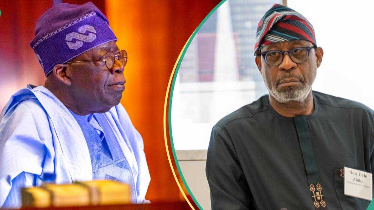 Tinubu gives Dele Alake fresh appointment, read details