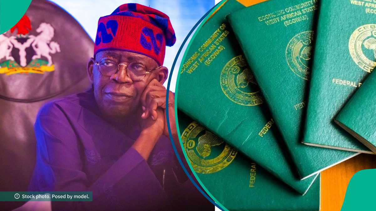 How to renounce Nigerian citizenship: Documents, fees and application steps