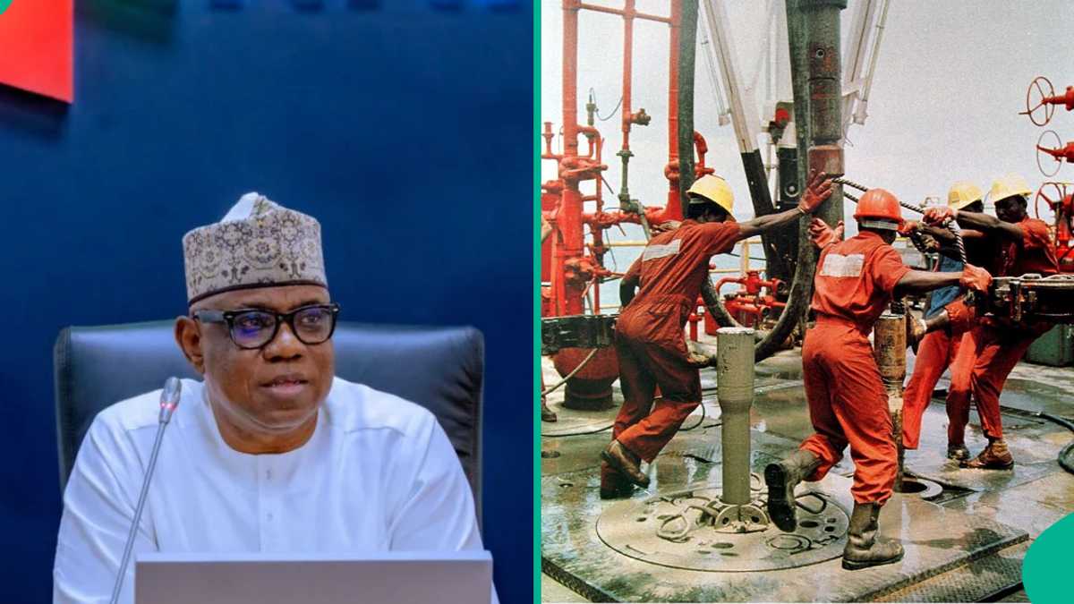 See more NNPC announces plan to resume oil search in 2 Northern states