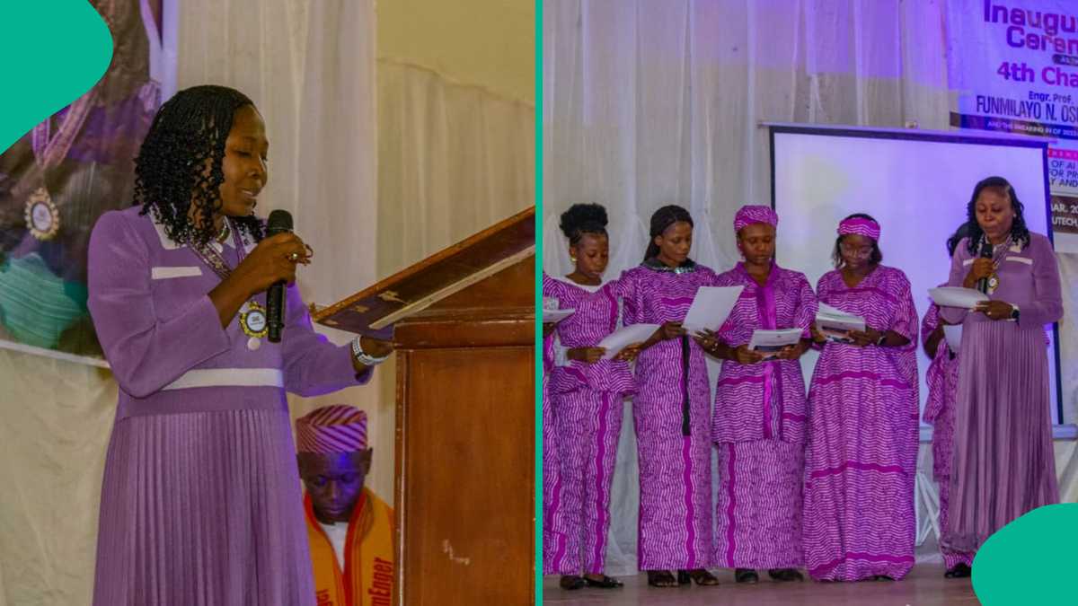 APWEN Ogbomoso names Osuolale 4th chairman, champions women in engineering