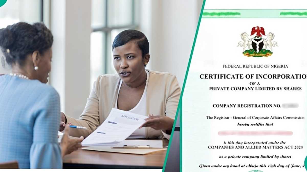 Revealed: 4 key things businesses should know as CAC mandates annual filling
