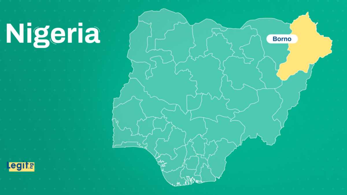 Insecurity in Nigeria: Troops eliminate over 1,000 terrorists in Borno, others; read details