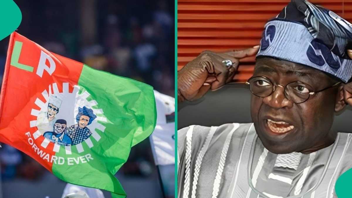 Breaking: Labour Party youth open talks with APC, Tinubu ahead of 2027