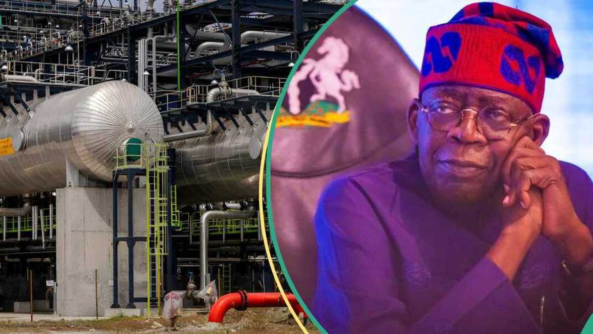 Expert reveals what FG must do to ease fuel price pressure on Nigerians
