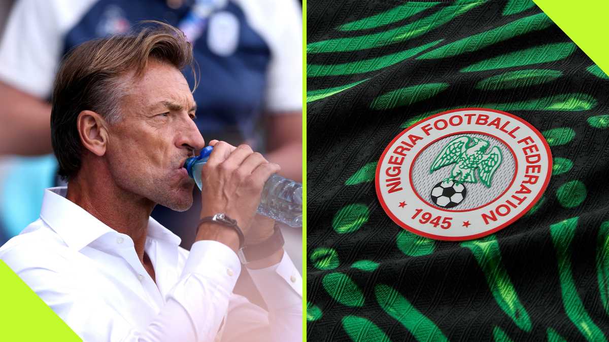 Herve Renard agrees to salary reduction to takeover Super Eagles job: report