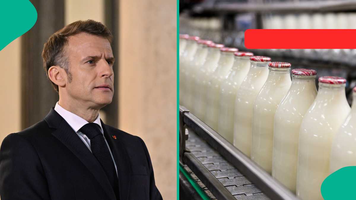 France releases list of items not allowed when entering the country in 2026