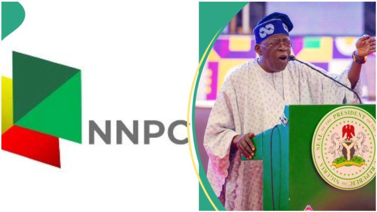 Jubilation as Tinubu Makes 9 Appointments, Full List Emerges - Legit.ng