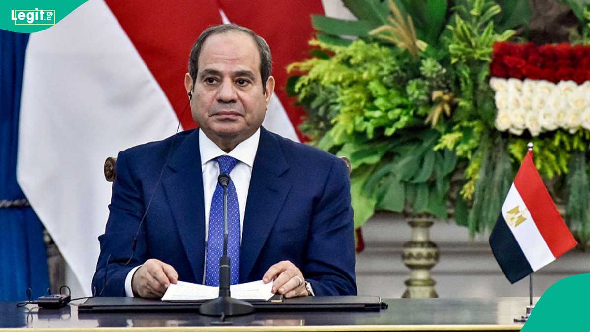 Egypt mentions all 6 documents required to apply for Egyptian citizenship by marriage