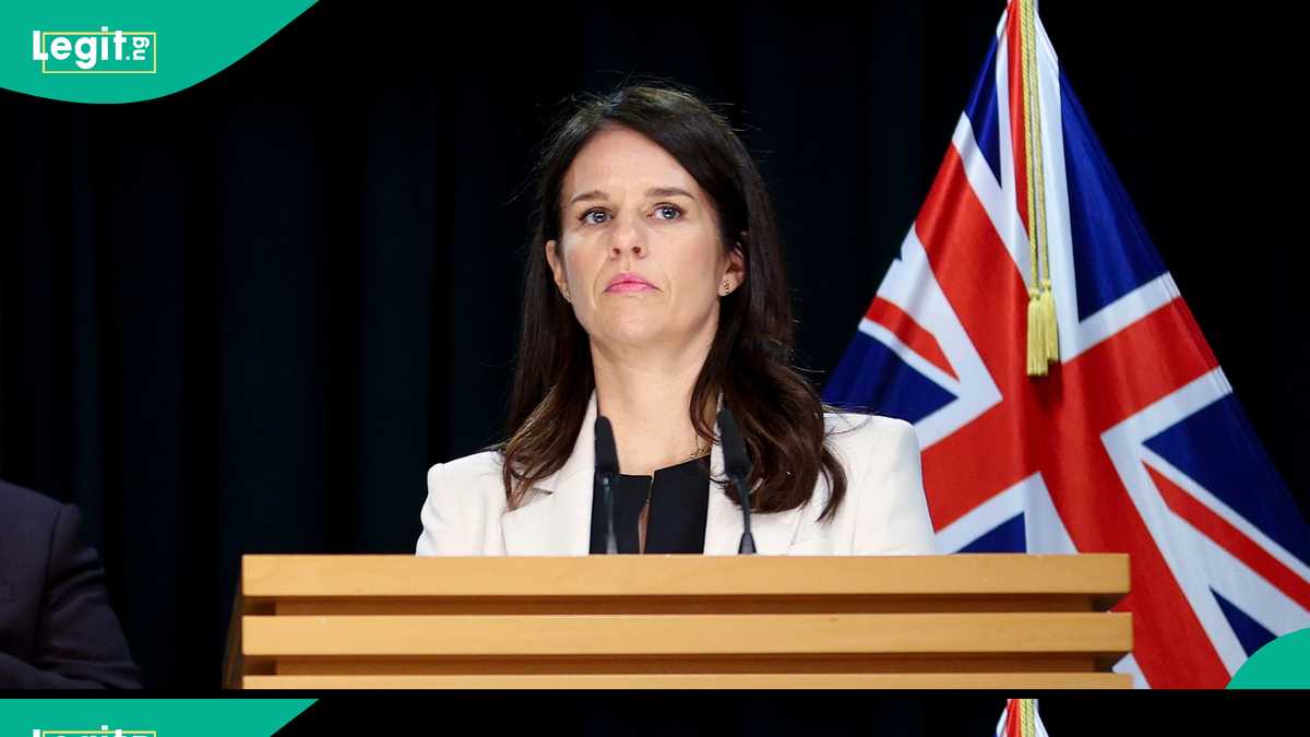 See key rules foreigners on New Zealand entertainers work visa must obey