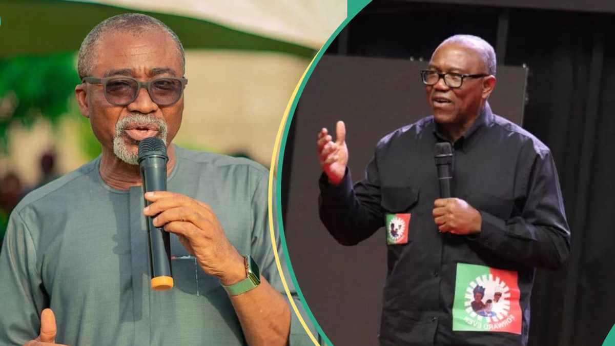 See what Igbo senator said would have happed if Peter Obi won 2023 election