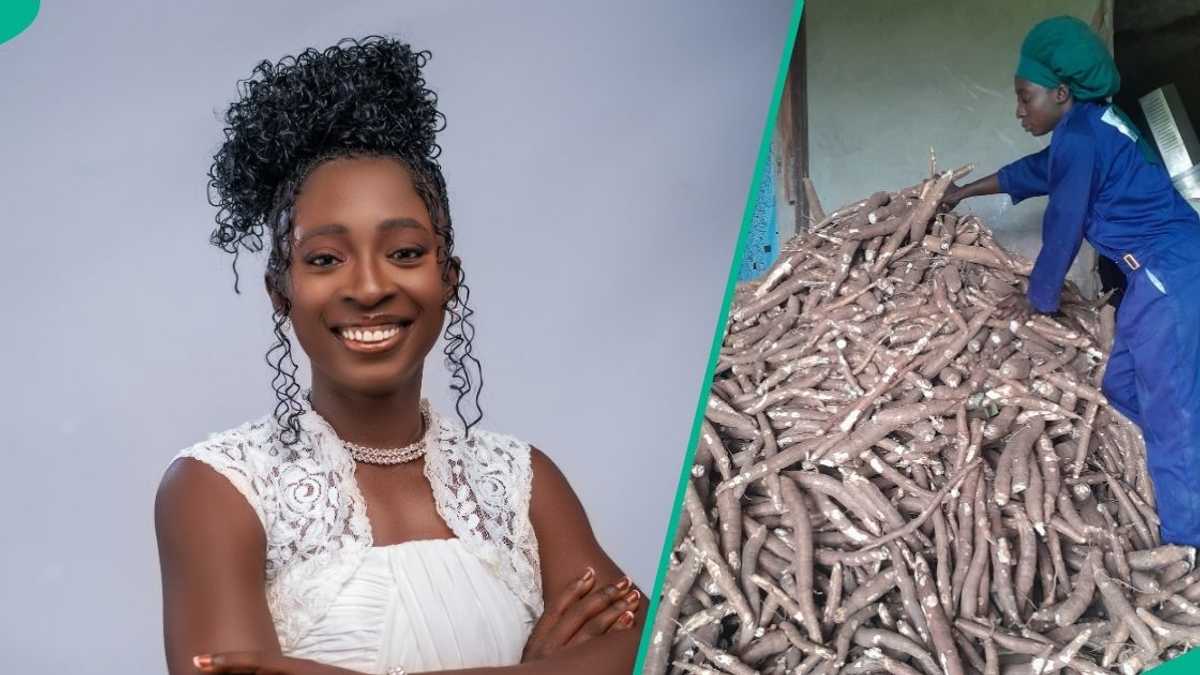 Ayosifam: A woman-led agribusiness changing lives in Kwara State