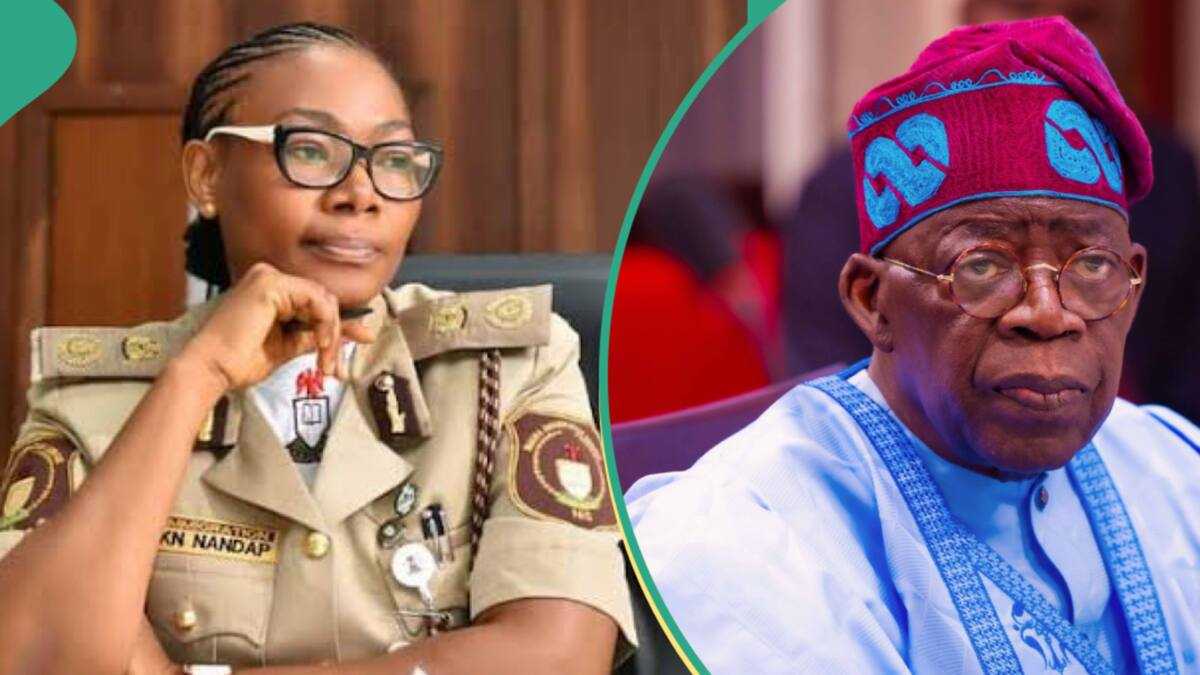 BREAKING: Tinubu Appoints New Immigration Boss, Details Emerge - Legit.ng