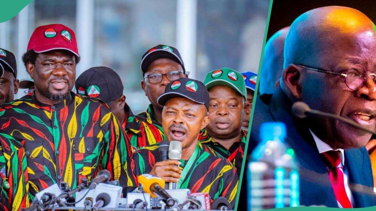 Breaking: Jubilation as Tinubu approves transport support for workers