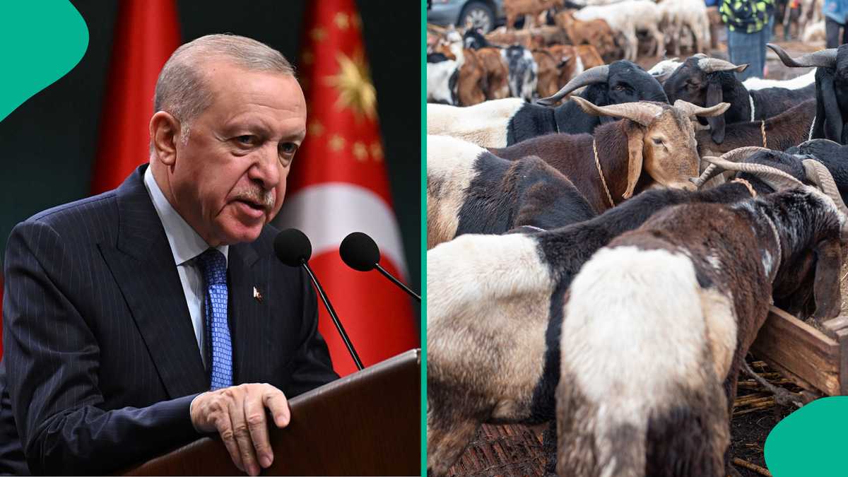 Turkey declares public holiday for Eid Al Adha, extends days