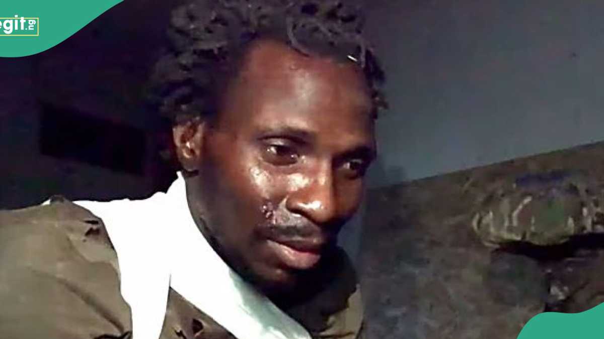 Watch video: Ukrainian forces capture Nigerian fighting for Russia