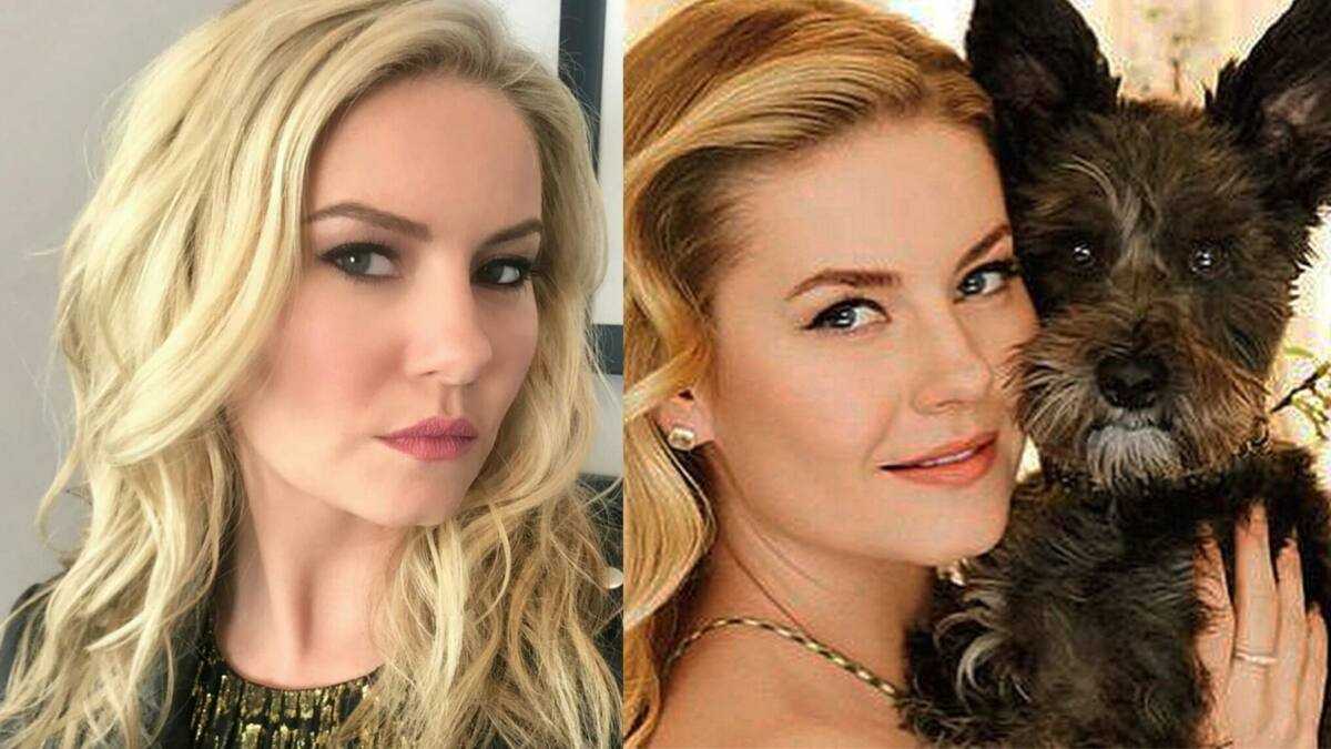 Elisha Cuthbert bio: age, height, net worth, husband, kids - Legit.ng