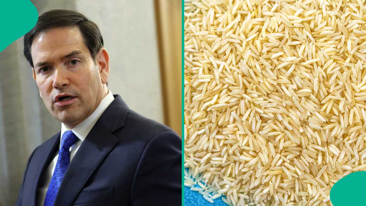 US government lists food, other items not allowed to be carried along while coming into the country