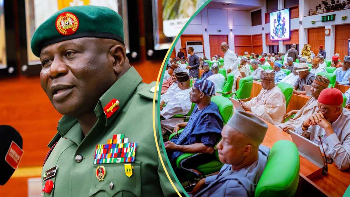 Breaking: Reps confirm Oluyede as new Chief of Army Staff