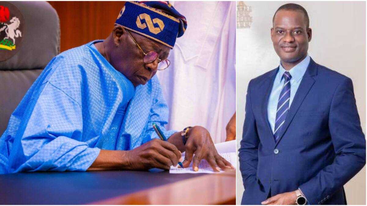 President Tinubu Makes Fresh Appointment, Details Emerge - Legit.ng