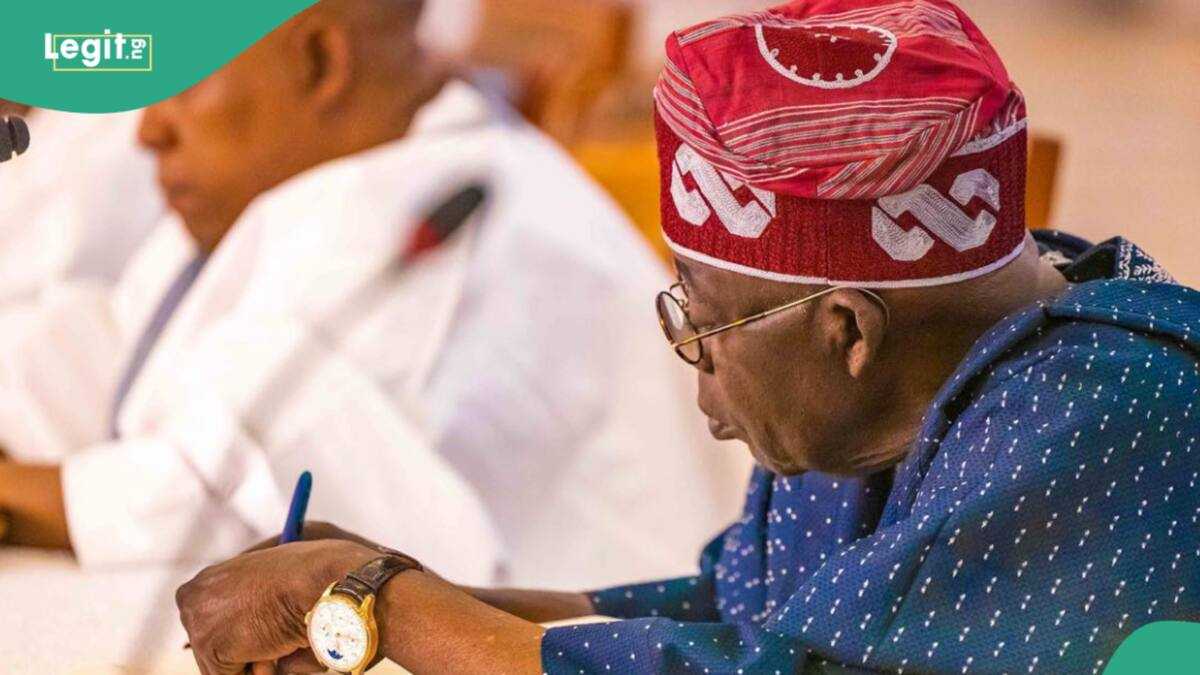 Full List: Tinubu-Led FG Announces New Set of Appointments - Legit.ng