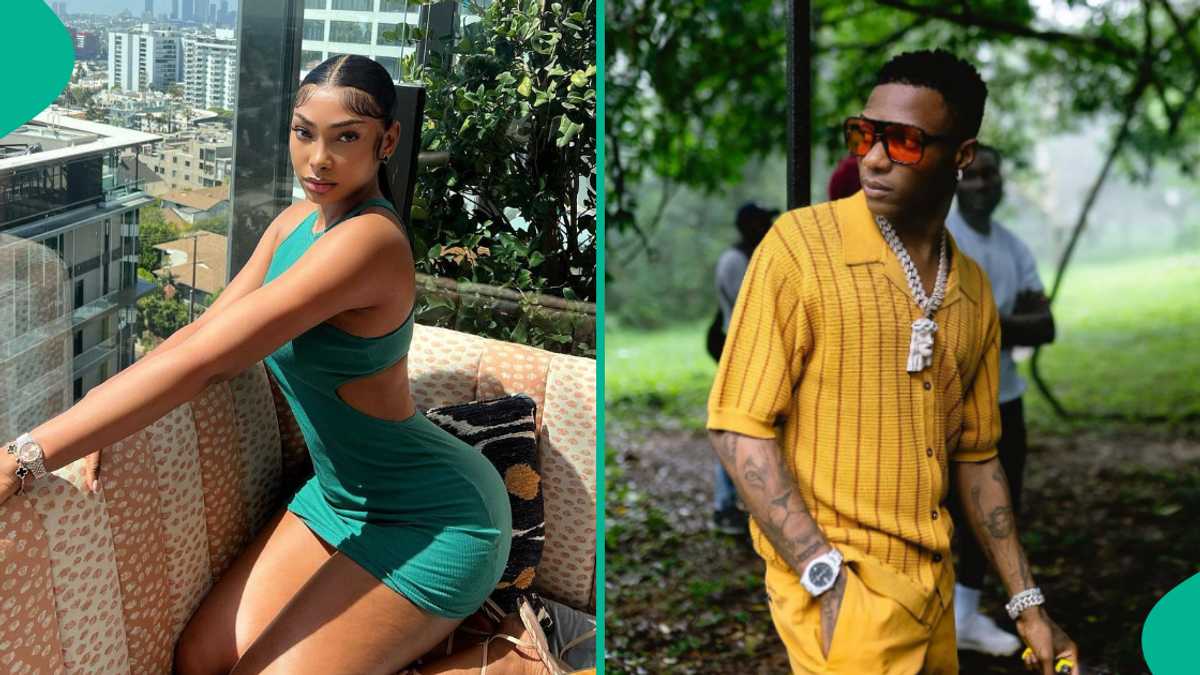 See the leaked WhatsApp chat between Wizkid and a Lekki big girl that caused wahala online