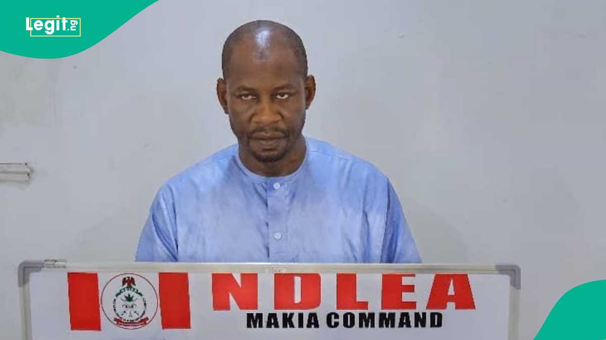 NDLEA finds syndicate sponsoring pilgrims with hard drugs to Hajj, arrests 3 kingpins in Kano