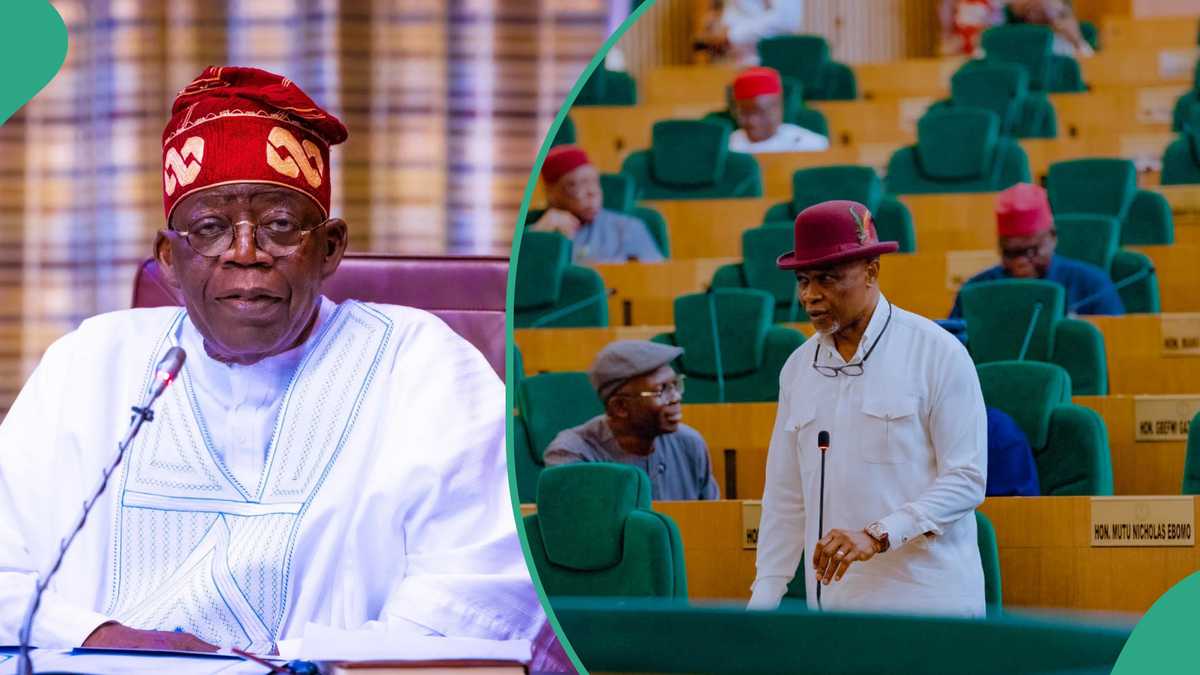 Reps send crucial message to Tinubu ahead of nationwide protest, details emerge