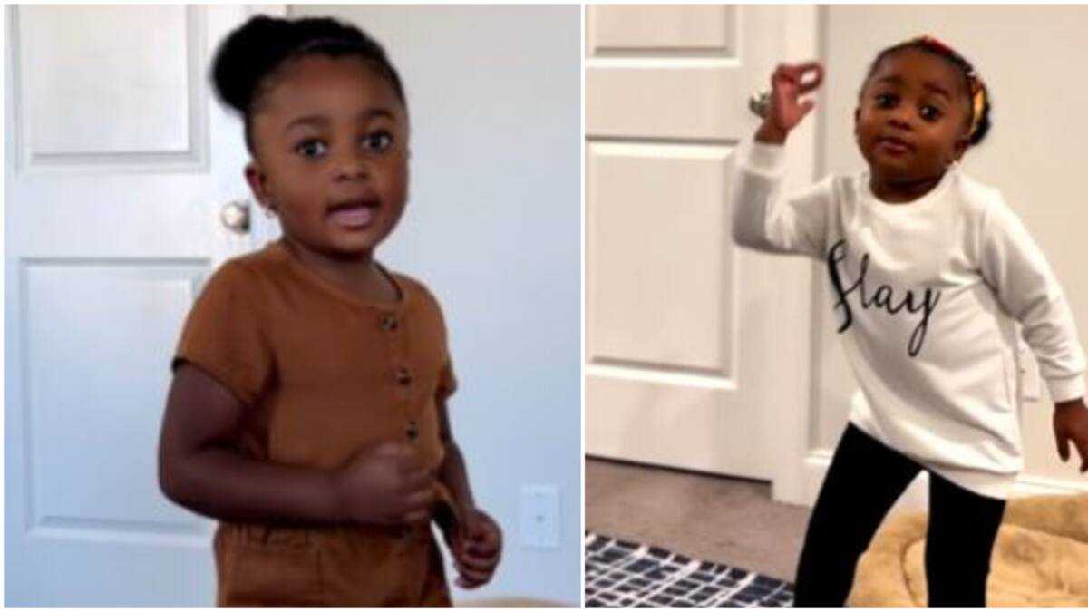 “My Name Is Van Van”: Meet Cute 4-Year-Old Rapper Taking Over the ...