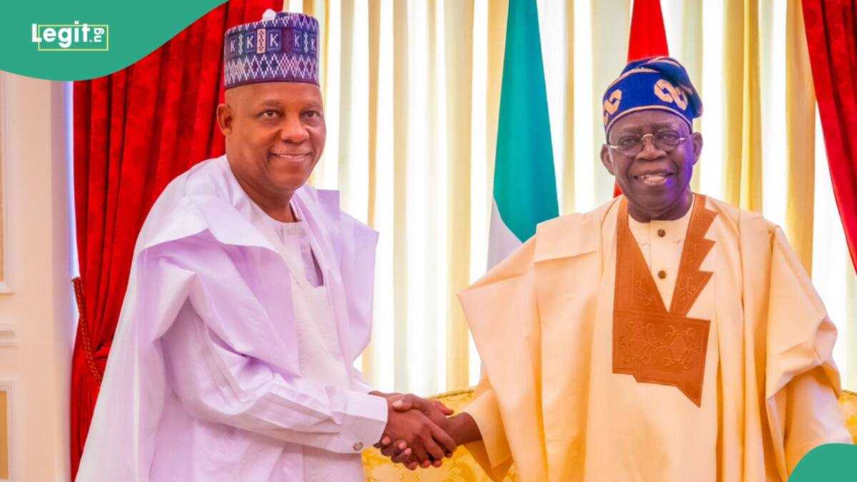 Tinubu Sends Key Message to North, Announces New Plans - Legit.ng