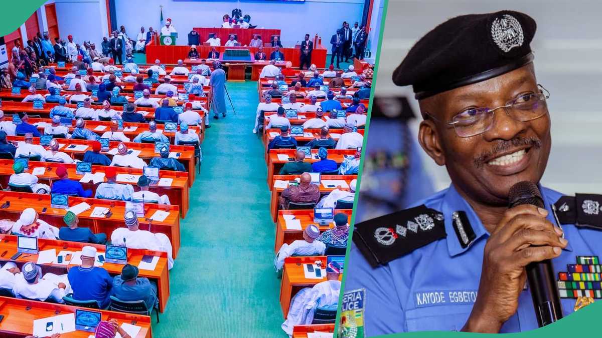 Just in: Jubilation as Reps amend law to allow IGP Egbetokun stay in office for 3yrs after Retirement age