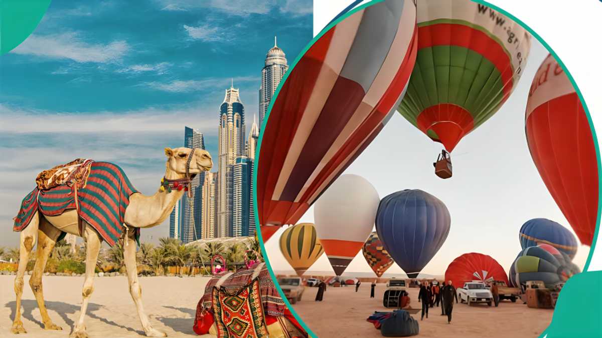 UAE visa-free entry: 5 Saudi Arabia events and festivals in 2026 you won't want to miss