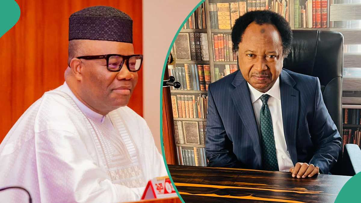 AkpabioMustGo hashtag: Shehu Sani reveals how Senate President can be impeached