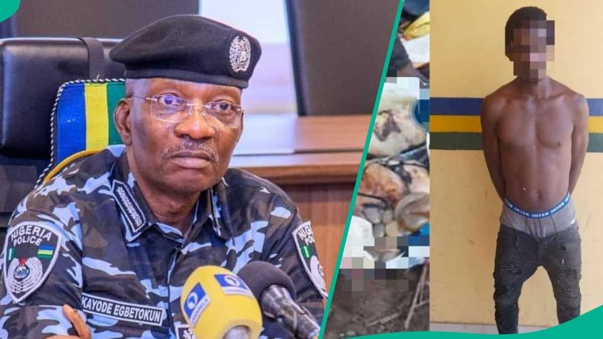 Ritual conspiracy foiled as police nab 25-yr-old man with human organs, see details