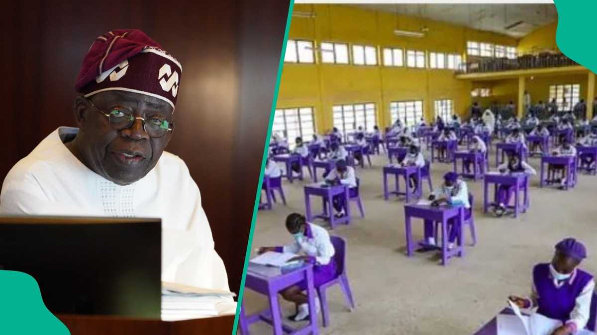 Flashback: Year Tinubu dumped paying WAEC for NECO as Lagos gov and why