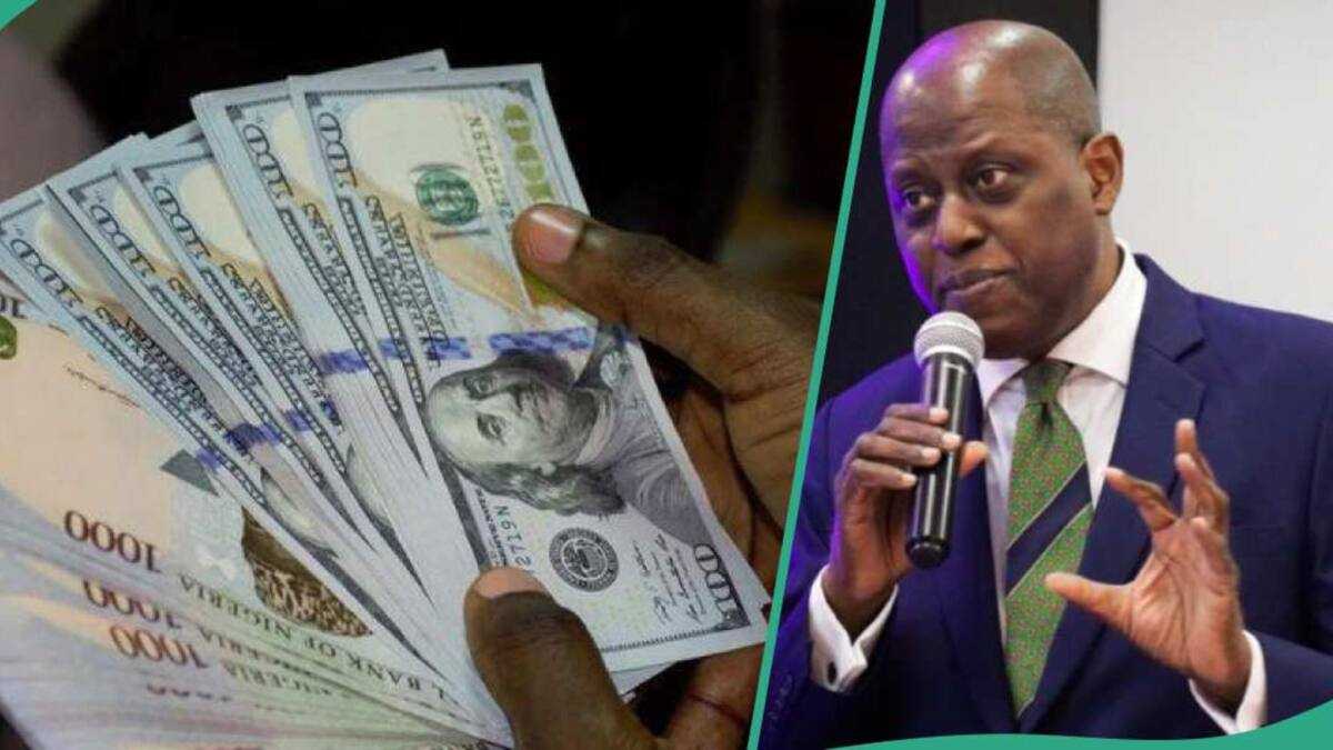 Naira appreciates after Nigeria is removed from financial crime watchlist