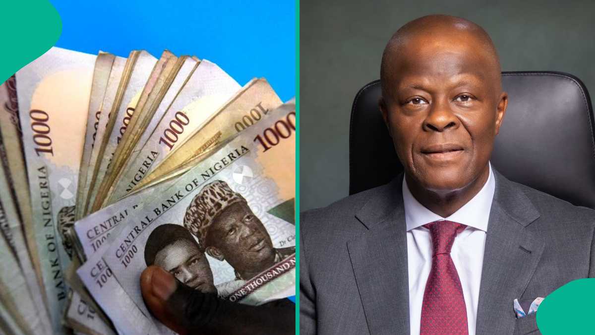 Amount Wale Edun and other ministers who left Tinubu's cabinet will receive emerged