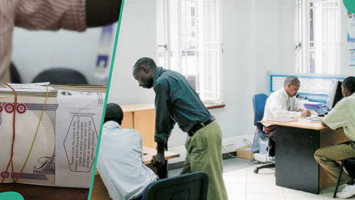 Find out more as Access, UBA, Zenith, 2 other banks, double staff wage bills