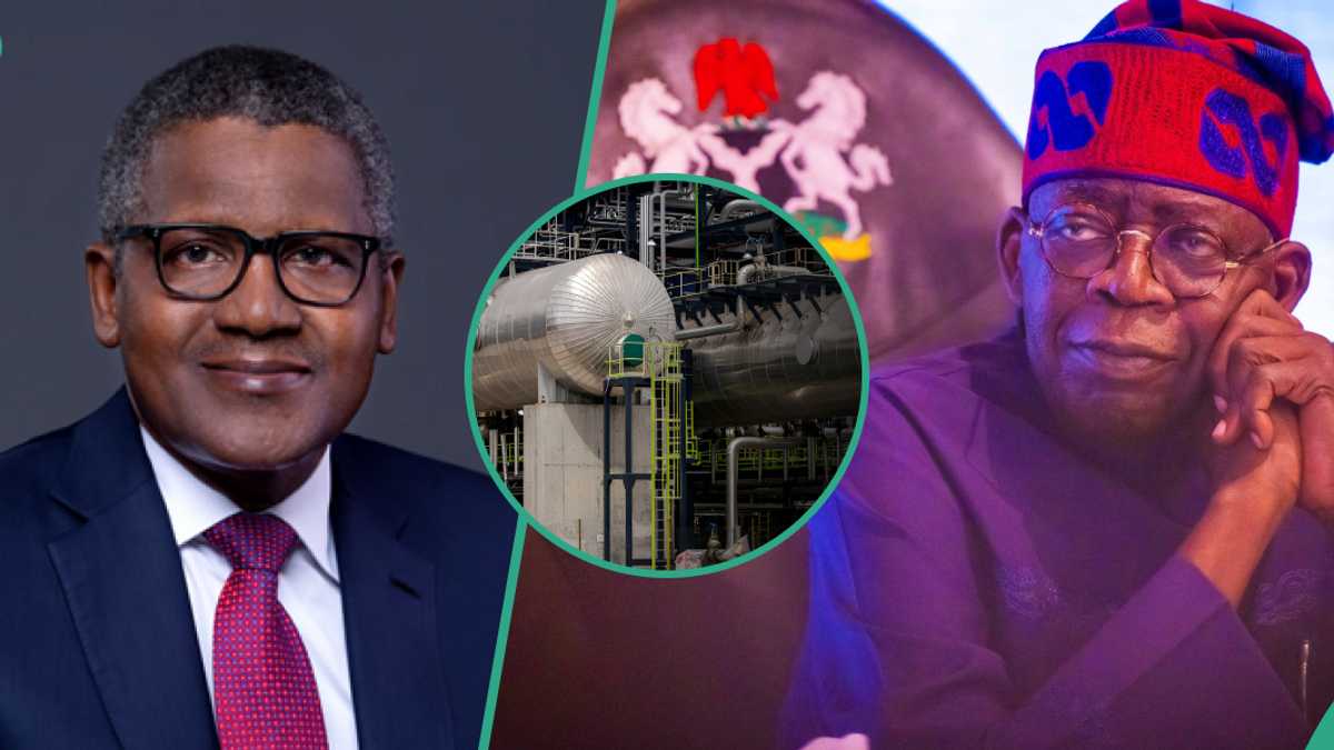 Nigerians lambast regulatory agency over Dangote Refinery’s monopolistic claim