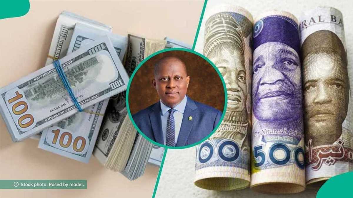 Naira gains in black market but slips at official window as FX pressure persists